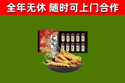 雷山回收冬虫夏草价格
